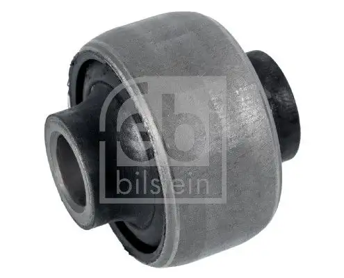 FEBI 02183 Salıncak Burcu