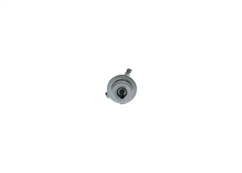 BOSCH 0438161013 Yakıt Basınç Regülatörü