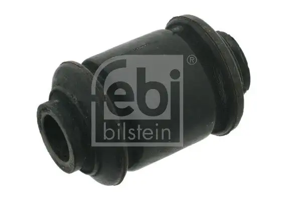 FEBI 04913 Salıncak Burcu 701407183