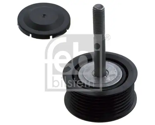 FEBI 102177 Alternatör Gergi Rulmanı 94810211820