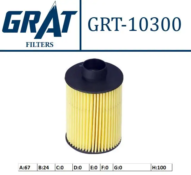 GRAT 10300 Yakıt Filtresi 77362340