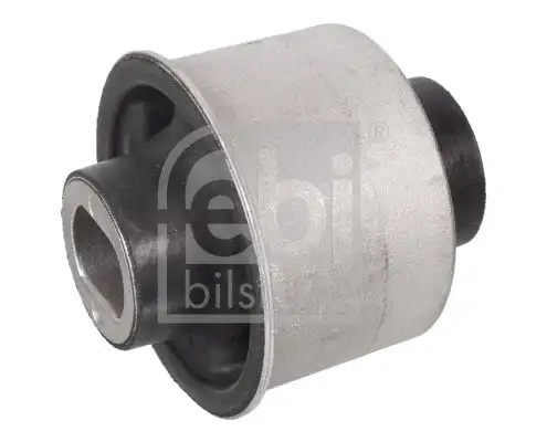 FEBI 106614 Salıncak Burcu