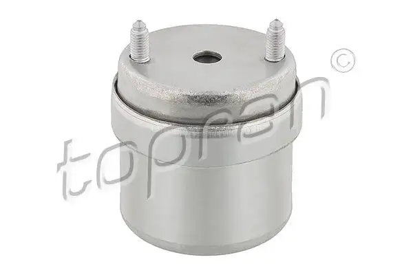 TOPRAN 107976001 Motor Takozu (Sağ) 7D0199132C