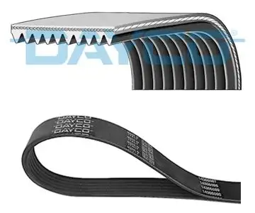 DAYCO 10PK1547HD (10PK1547) Kayış