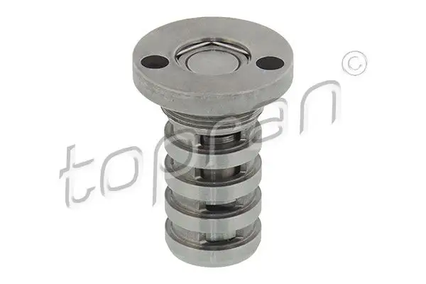 TOPRAN 113724001 Eksantrik Kumanda Valfi 06H109257C