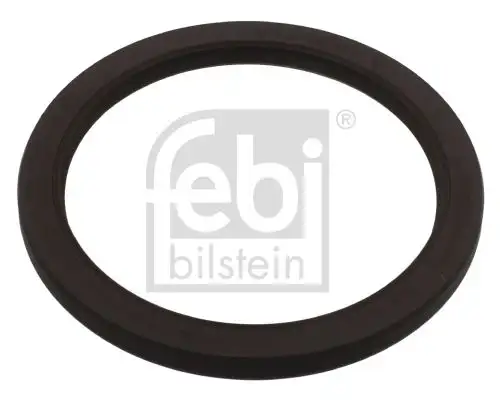 FEBI 11808 Arka Krank Keçesi