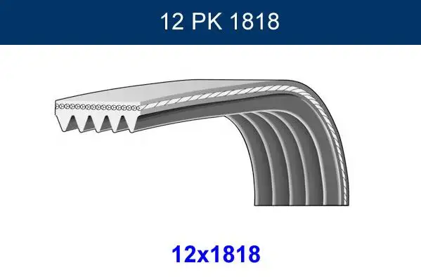 GMB 12PK1818 Kayış
