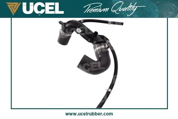 ÜÇEL 15722 Turbo Hortumu 8200248814