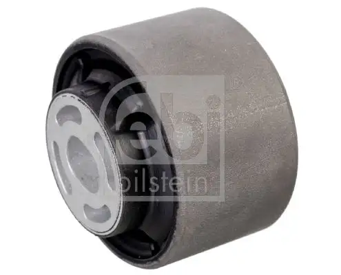 FEBI 175451 Salıncak Burcu