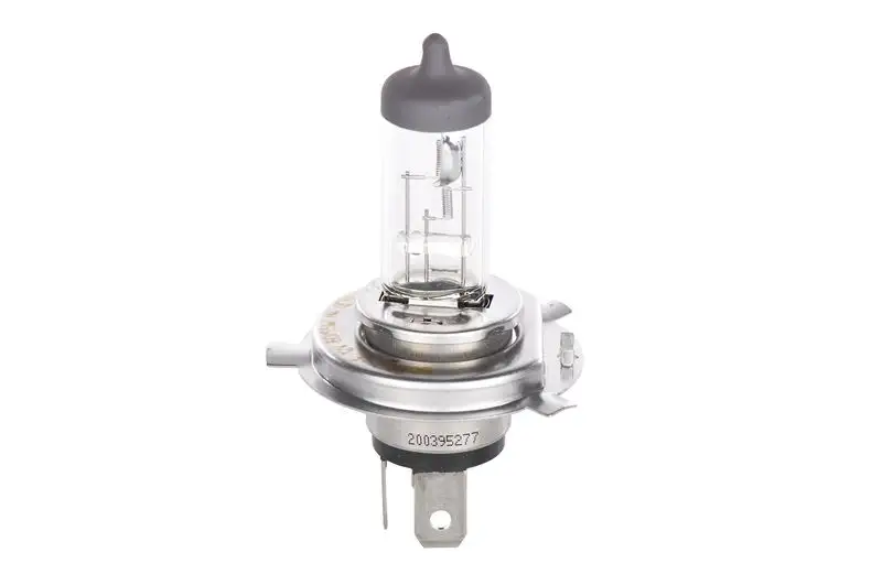 BOSCH 1987301001 Ampül 0050185