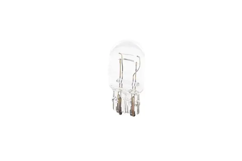 BOSCH 1987301079 Ampül YY04500889300