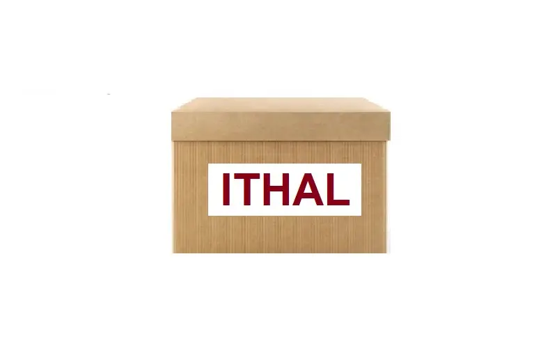 ITHAL 1K8943021D Plaka Lambası