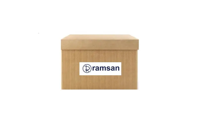 RAMSAN 211038 Direksiyon Pompası 51894441