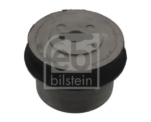 FEBI 21332 Salıncak Burcu