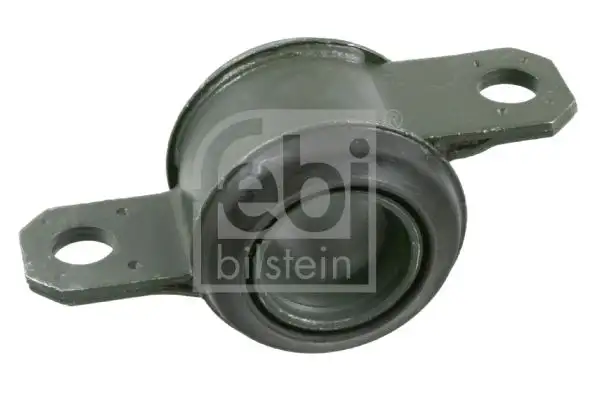 FEBI 21611 Salıncak Burcu