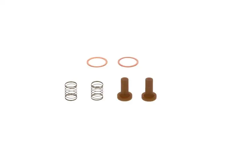 BOSCH 2447010011 Yakıt Filtresi