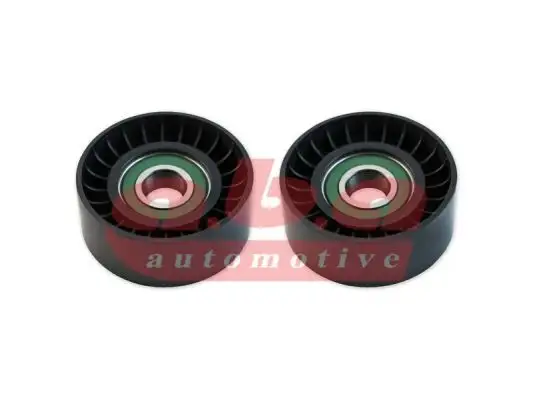 ABA 25750370 Alternatör Gergi Rulmanı
