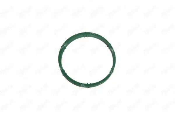 İBRAŞ 27857 Emme Manifold Contası