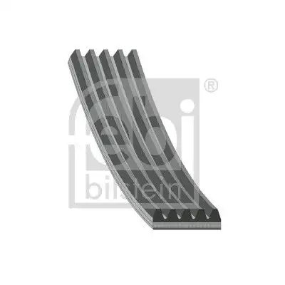 FEBI 28863 Kayış