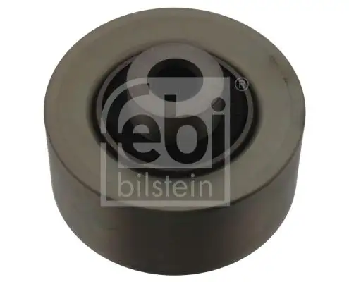 FEBI 30873 Alternatör Gergi Rulmanı