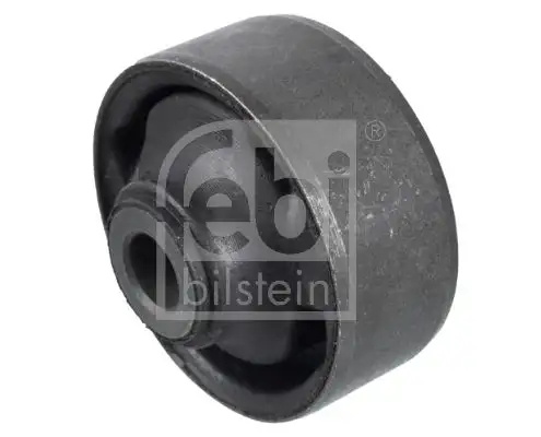 FEBI 30916 Salıncak Burcu