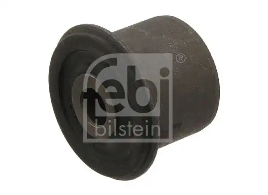 FEBI 31271 Salıncak Burcu A4513300010
