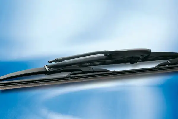BOSCH 3397000669 Fiskiye Memesi (Ön)