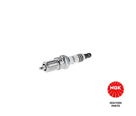 NGK 3689 (TR6IX) Buji