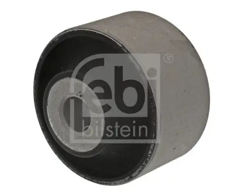 FEBI 39355 Salıncak Burcu