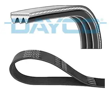 DAYCO 3PK815 Kayış