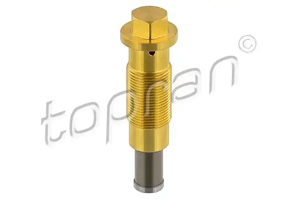 TOPRAN 408963001 Eksantrik Zincir Gergisi A2710500411