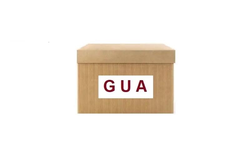 GUA 41054 Platin