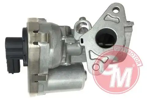 GUA 41141 EGR Valfi 71789686
