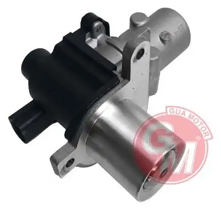 GUA 41225 EGR Valfi