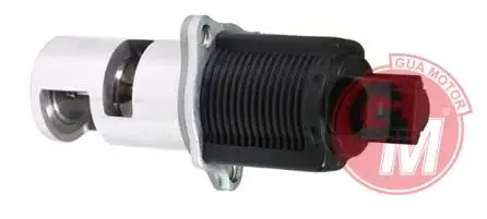 GUA 41505 EGR Valfi