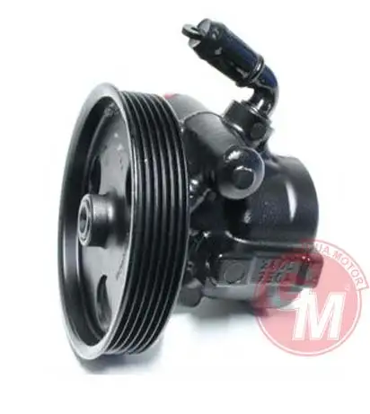 GUA 41557 Direksiyon Pompası 491100031R