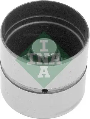 INA 420010610 Supap Fincanı