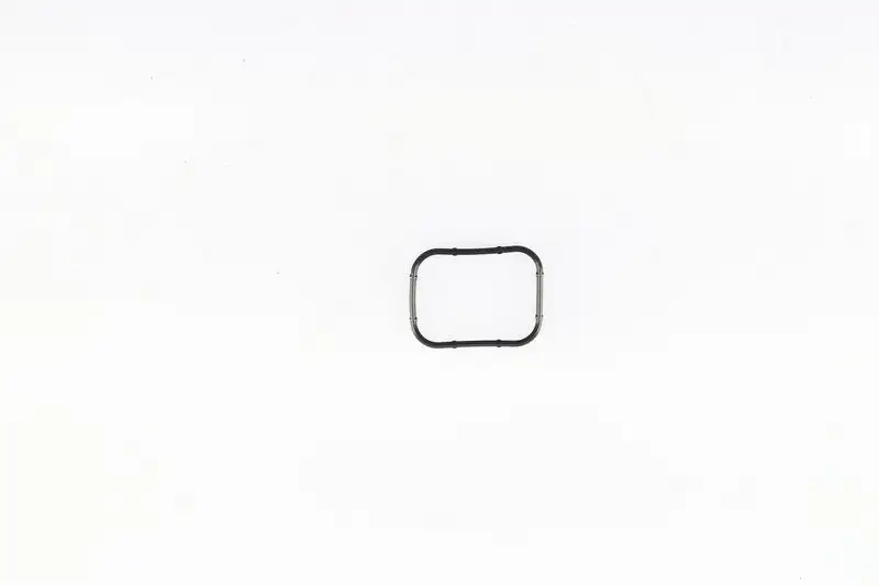 CORTECO 450365H (82950365) Emme Manifold Contası 0348S5