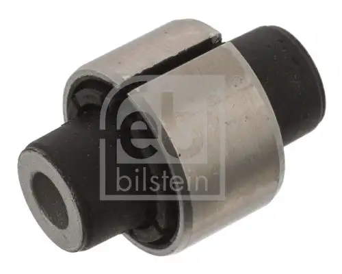 FEBI 45859 Salıncak Burcu