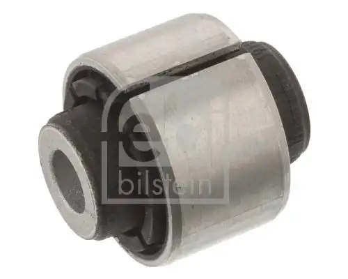 FEBI 45860 Salıncak Burcu