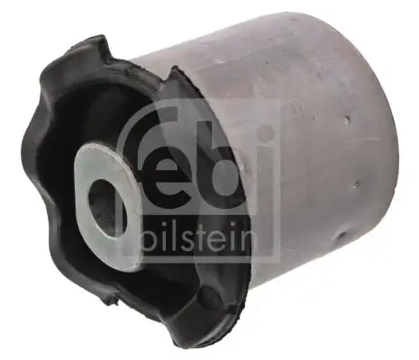 FEBI 47573 Salıncak Burcu