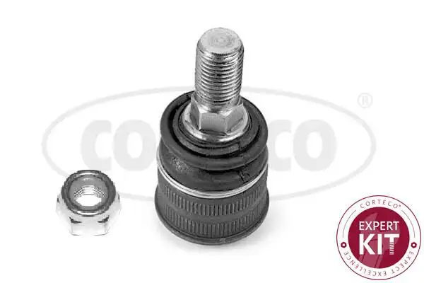 CORTECO 49395876 Alt Rotil A2203230368