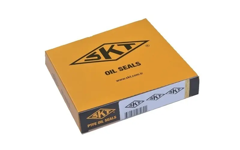 SKT 4C03410 Motor Takım Conta (Alt ve Üst)