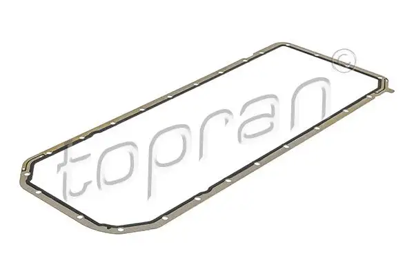 TOPRAN 500775001 Karter Contası