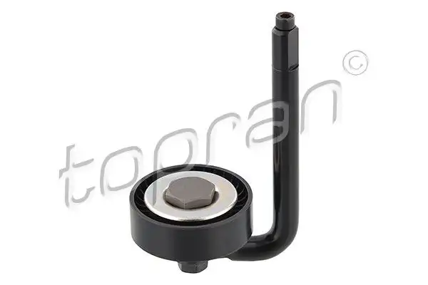 TOPRAN 501846001 Alternatör Gergi Rulmanı 64557786706