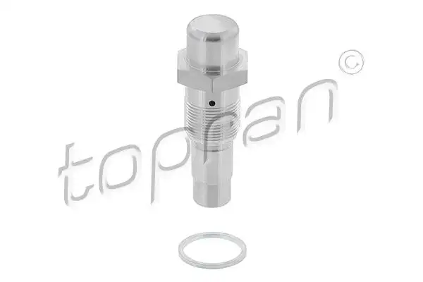 TOPRAN 503116001 Eksantrik Zincir Gergisi 11311703746