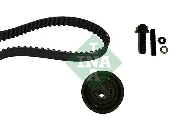 INA 530000310 Triger Seti