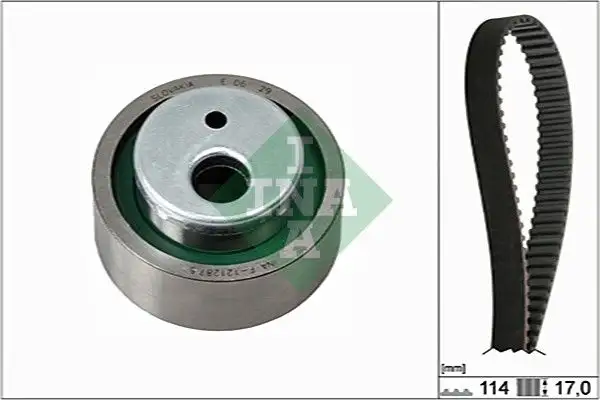 INA 530025810 Triger Seti