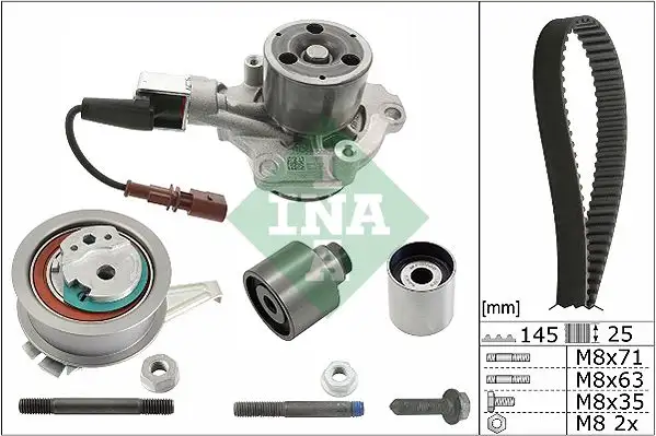 INA 530065030 Triger Seti ve Devirdaim