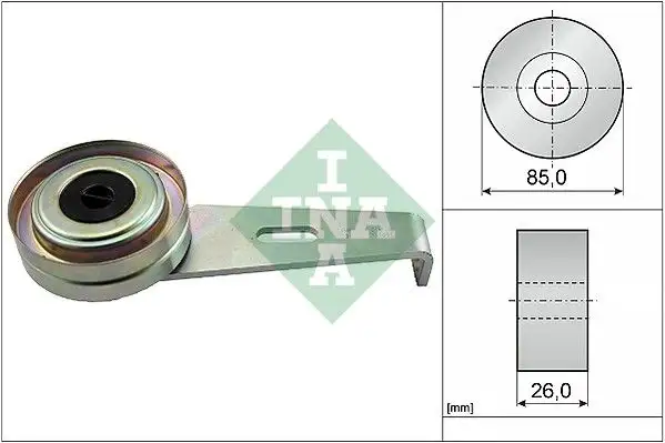 INA 531009710 Alternatör Gergi Rulmanı